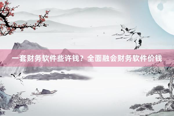 一套财务软件些许钱？全面融会财务软件价钱