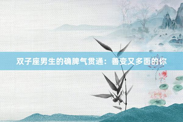 双子座男生的确脾气贯通：善变又多面的你