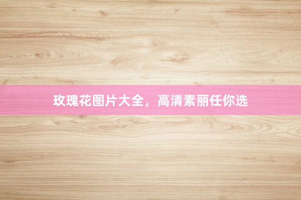 玫瑰花图片大全，高清素丽任你选