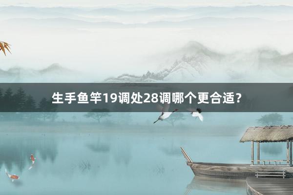 生手鱼竿19调处28调哪个更合适？